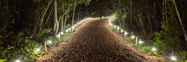 Arealbeleuchtung am Obwald Festival mit Outdoor Lichterketten