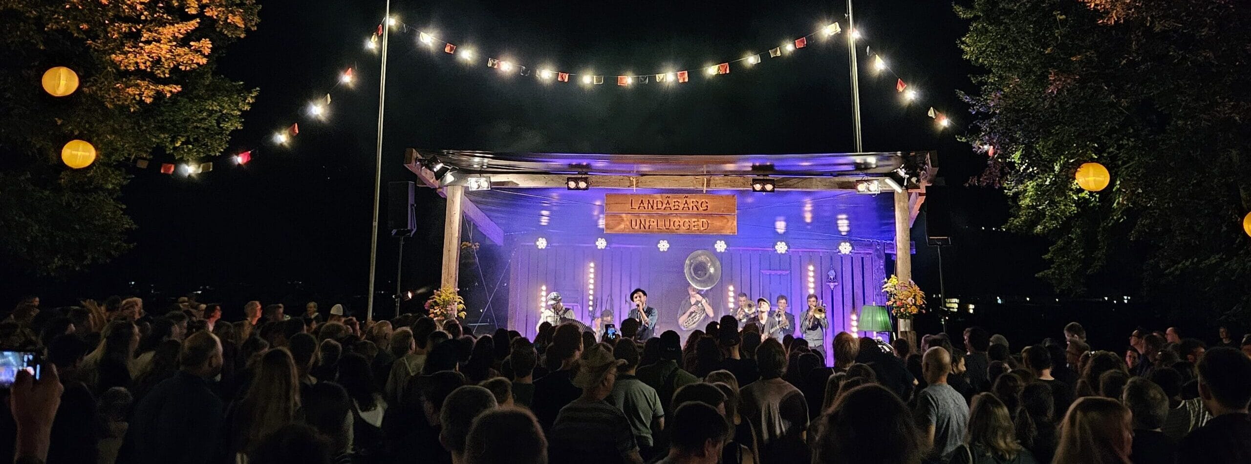 Konzertbeschallung 1